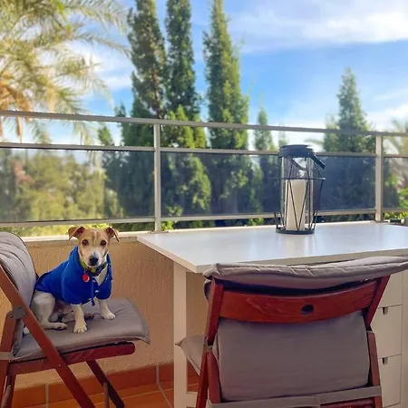 Appartement Klimatyczny Loft I Egzotyczny Basen